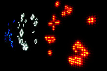 Voja Antonić: Čarolija svetleće tačke