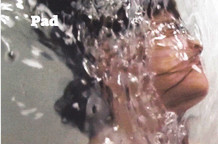 Anica Vučetić: Pad