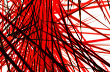 Marica Radojčić: Razgranata linija