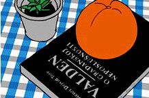 Žolt Kovač: Možete kupiti savremenu umetnost