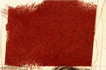 Jovan Rakidžić: Studija tla