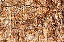 Ratko Lalić - retrospektiva