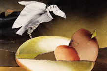 Božidar Džmerković - kolaži