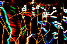 Kritičari su izabrali 2014.