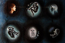 Dragana Grujičić: Imanacije tela