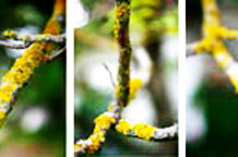 Fotografije Jelene Vemić