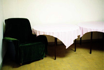 Jelena Jureša: Mira, skica za portret