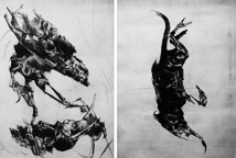 Crteži, kolaži i grafike Mate Đorđevića