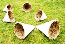 Đorđe Stanojević: Ergonomija zemlje