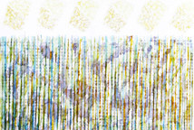 Pal Dečov: U dodiru sa prirodom