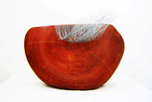 Ana Jurković: Tiha gledišta