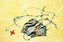 Marija Avramović: Gde zeka pije vodu