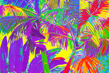 Milena Jeftić Ničeva Kostić: Tropi