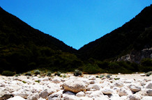 Petar Jončić , Novinar kao fotograf