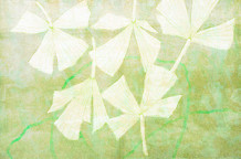 Tačke gledišta, Šest litografa iz Tokija