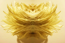 Fotografije Jovane Dimitrijević