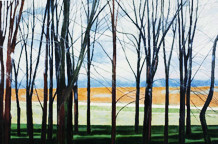 Goran Dragaš: Rukrajze