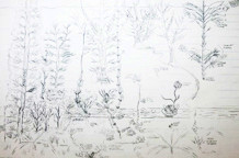 Rexov vrt nakon 20 godina