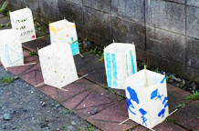 Japanski umetnici Dunavu