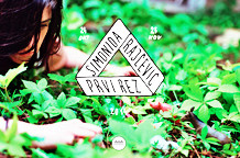 Simonida Rajčević: Prvi rez