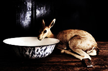 Barok: Vizuelna i hibridna umetnost