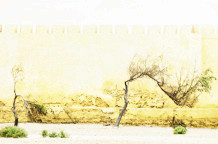 Sonja Žugić: Borderline