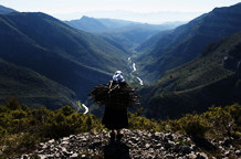 Milena Đorđević & Dejan Kalezić: JA