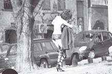 Nenad Marjanović: On the road