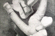 Crteži Aleksandra Brankovića