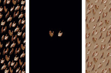 Nikola Marković: Izvodi iz neverbalnog govora