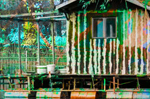 Lorenco Modika: 13 dana