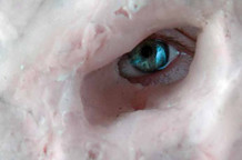 Anđela Grabež: Vreme basni