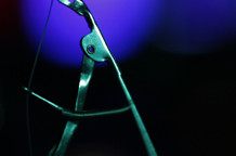 Izvanredni Bob & WoO: Peoplemeter