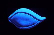 Aleksandra Petković: Sav univerzum je u tebi