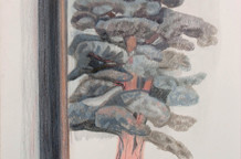 Dimitrije Pecić: Zabeleške sa putovanja