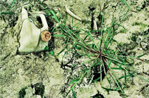 Izložba fotografija Panta rhei