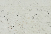 Milan Stašević: Užitak u nedostatku